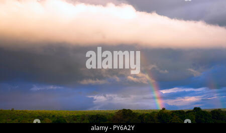 Rainbow sopra la foresta di pioggia di una parte tropicale della Bolivia. Nuvole drammatico della tempesta in uscita Foto Stock