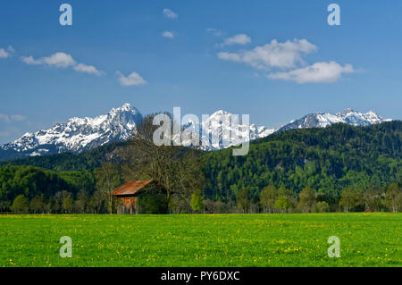 Barn vicino Schwangau nel Allgäu, sullo sfondo la neve Tannheimer Berge (montagne Tannheimer), quartiere Ostallgäu, Baviera, Germania Foto Stock