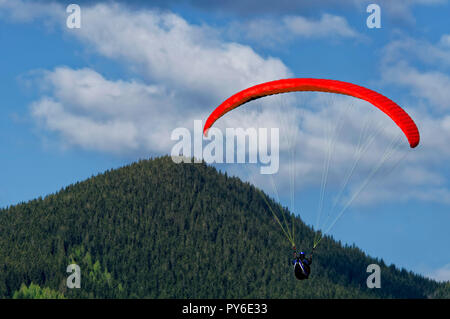 Parapendio sul monte Tegelberg nelle Alpi Ammergau, vicino Schwangau, Ostallgäu, Allgäu, Baviera, Germania Foto Stock