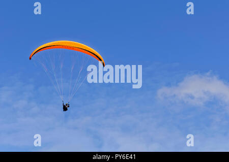 Parapendio sul monte Tegelberg nelle Alpi Ammergau, vicino Schwangau, Ostallgäu, Allgäu, Baviera, Germania Foto Stock
