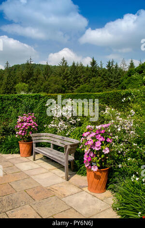 Un display a colori di estate di rose e clematis in la Regina madre nel Giardino delle Rose della RHS Garden Rosemoor, Devon, Inghilterra, Regno Unito Foto Stock