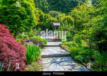 Un coloratissimo mix di fiori e fogliame in giardino di pietra della RHS Garden Rosemoor, Devon, Inghilterra, Regno Unito Foto Stock