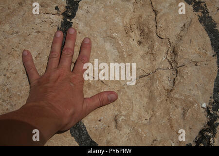 La mano sulla roccia con footprint di dinosauri in Croazia, Istria Foto Stock