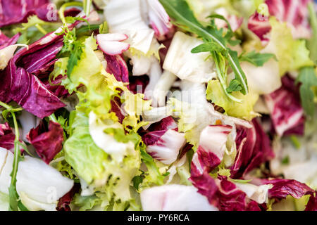 Macro closeup di insalata mista la cottura di miscela di materie prime con verde lattuga romana, rosso porpora di radicchio cicoria a foglia, foglie di rucola Foto Stock