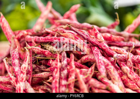 Macro closeup di molti di colore rosso o rosa sgusciate intere di mirtillo palustre di fagioli in gusci nel mercato agricolo italiano o cibo di strada in stallo roma, Italia Foto Stock