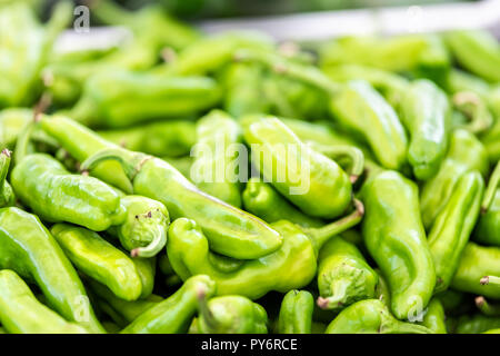 Macro closeup di molti verde peperoncini nel mercato agricolo italiano o cibo di strada in stallo roma, Italia Foto Stock
