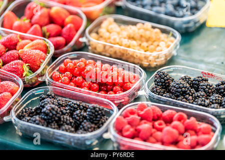 Molti contenitori di plastica di scatole di bacche, bianco e rosso, ribes, more, lamponi e fragole sul display nel mercato degli agricoltori Foto Stock