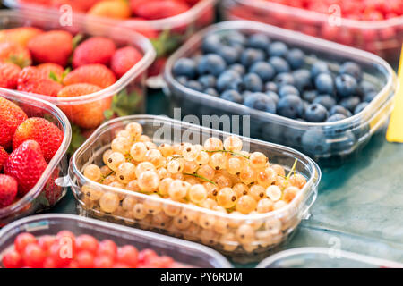 Molti contenitori di plastica di scatole di bacche, bianco e rosso, ribes, more, fragole e sul display nel mercato degli agricoltori Foto Stock