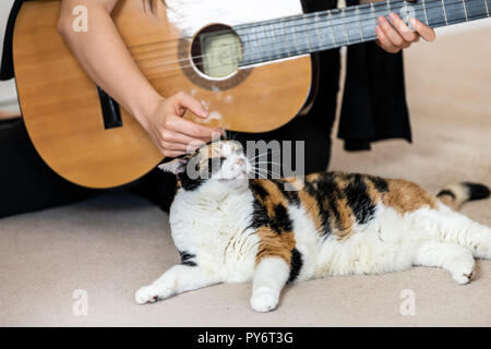 Femmina, donna proprietario, persona seduta sul pavimento moquette, giocando con la mano, le dita sulle corde, Gatti calico davanti, cercando uno strumento musicale guitar, cu Foto Stock