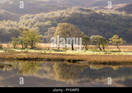 Autunno riflessioni sulla Llyn Dinas in Nant Gwynant Valley, Snowdonia National Park, North Wales, Regno Unito Foto Stock