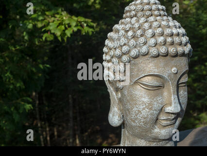 Testa di buddha con sfondo di foresta Foto Stock