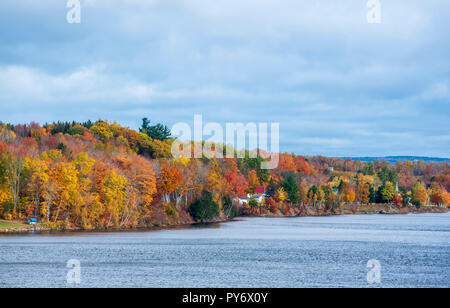 I colori dell'autunno, i colori dell'autunno lungo il st. john river, New Brunswick, Canada Foto Stock