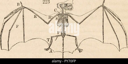 " Animali e fisiologia vegetale, considerato con riferimento alla teologia naturale" (1836) Foto Stock