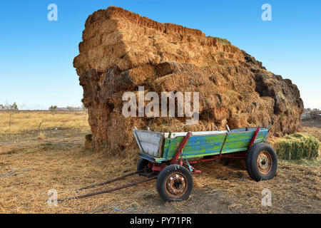 Autunno sfondo agricoli con le balle di paglia in Dobrogea land, Romania Foto Stock