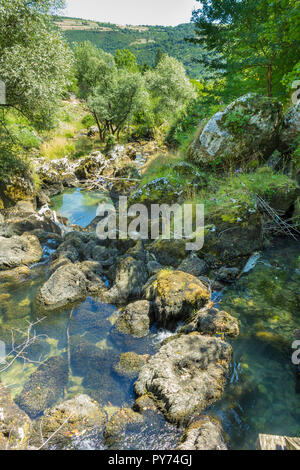 Un piccolo ruscello che scorre attraverso il n.a. Parco Nazionale in Bosnia, racchiuso in alberi, la bellissima natura Foto Stock