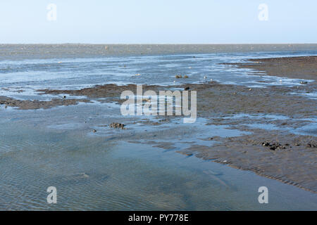 Gaomei zone umide di acqua di mare poco profondo oltre fine sabbia scura, Qingshui distretto, città di Taichung, Taiwan Foto Stock