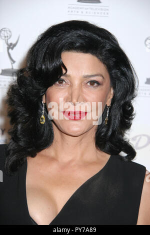 Shohreh Aghdashloo 09/17/09 "Academy of Television Arts & Sciences onorare la 61st Primetime Emmy Awards nomination per prestazioni eccezionali' @ Wolfgang Puck al Pacific Design Center, West Hollywood Foto di Ima Kuroda/HNW / PictureLux (17 settembre 2009) Foto Stock