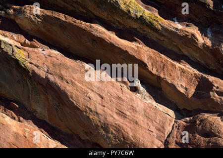 Il Red Rock vento texture usurati all'alba Foto Stock