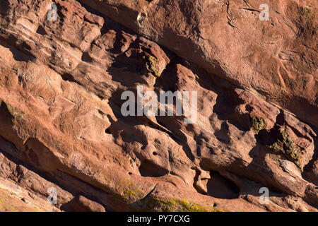 Il Red Rock vento texture usurati all'alba Foto Stock