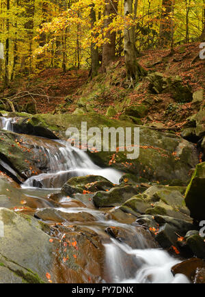 Autunno paesaggio con fiume e bellissimo fogliame Bieszczadzki - Parco nazionale in Polonia Foto Stock
