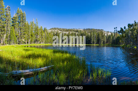 La Siesta Lago, nell'alto paese di Yosemite National Park, California nell'autunno. (Ultra-alta risoluzione) Foto Stock