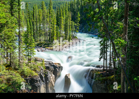 Bella Sunwapta Falls, Jasper National Park, Alberta, Canada Foto Stock