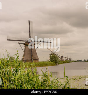 Paesi Bassi, Rotterdam Kinderdijk, patrimonio mulino a vento al di sopra di una lussureggiante verde erba lungo un canale Foto Stock