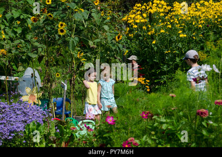 Bambini piccoli che lavorano in coppia padroneggiare nuove mosse di  autodifesa in palestra Foto stock - Alamy