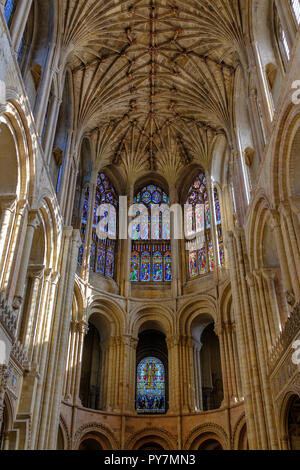Gothic soffitto a volta, navata e le finestre di vetro macchiate illuminate dalla luce del sole a Norwich Cathedral. Norfolk, Inghilterra, Regno Unito Foto Stock