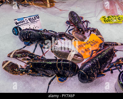 Astice blu Bretagna Francia Concarneau Fish Market hall con alta stagione locale "Homard des les Glenan' aragosta blu sul display in vendita Bretagna Francia Foto Stock