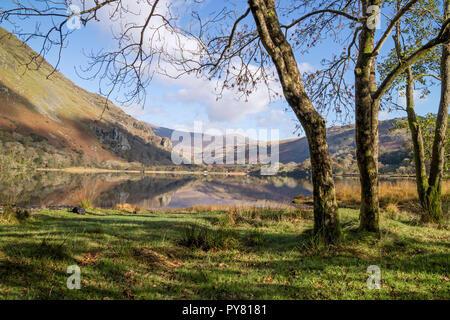Autunno riflessioni sulla Llyn Gwynant in Nant Gwynant Valley, Snowdonia National Park, North Wales, Regno Unito Foto Stock