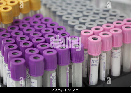 Fryazino, Russia - 06 11 2018: multi-tubi colorati per sangue, articoli medicali, biomateriale raccolta, il concetto di ufficio Foto Stock