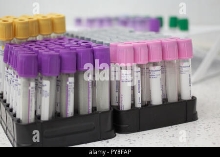 Fryazino, Russia - 06 11 2018: multi-tubi colorati per sangue, articoli medicali, biomateriale raccolta, il concetto di ufficio Foto Stock