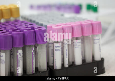 Fryazino, Russia - 06 11 2018: multi-tubi colorati per sangue, articoli medicali, biomateriale raccolta, il concetto di ufficio Foto Stock