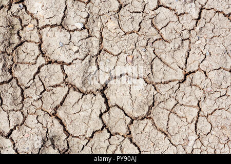 E essiccato incrinato terra del suolo Foto Stock