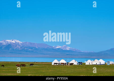 In Kirghizistan, provincia di Naryn, Song Kol, Kirghiz nomade della yurt camp Foto Stock