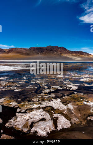 Laguna Negra è un incredibile alta lago andina sulla frontiera dove il Cile, Argentina e Bolivia tutti insieme vicino alla città di San Pedro de Atacama Foto Stock