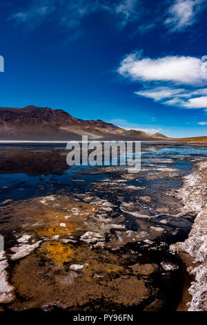 Laguna Negra è un incredibile alta lago andina sulla frontiera dove il Cile, Argentina e Bolivia tutti insieme vicino alla città di San Pedro de Atacama Foto Stock