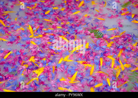 Bagno di fiori. Produzione artigianale di pasta di carta con intarsio di fiori Foto Stock