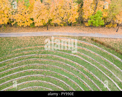 City Park scena alberi autunnali con colore giallo brillante fogliame crescente al fianco di sentiero Foto Stock