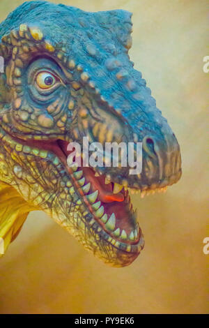 Colpo alla testa modello di Siamotyrannus isanensis, un genere di carnivori theropod dinosaur dal Primo Cretaceo della Thailandia. Foto Stock