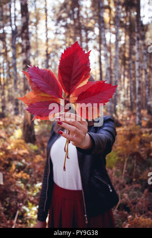 Giovane e bella ragazza felice con un rosso brillante Foglie di autunno nel parco o sulla foresta, Autumn Fall concetto, foglie di autunno nelle mani di ragazza Foto Stock