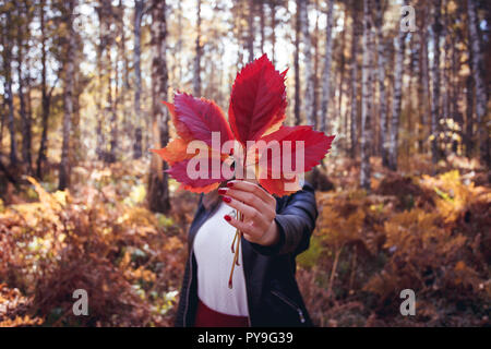 Giovane e bella ragazza felice con un rosso brillante Foglie di autunno nel parco o sulla foresta, Autumn Fall concetto, foglie di autunno nelle mani di ragazza Foto Stock