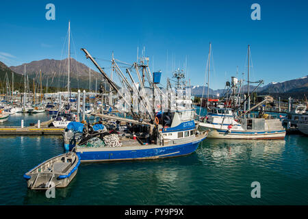 Seward, risurrezione Bay, Penisola di Kenai, Alaska, Stati Uniti d'America. Foto Stock