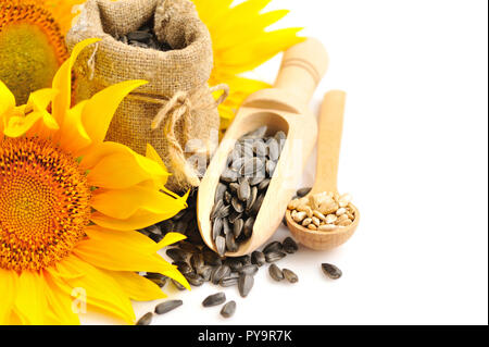 Il giallo dei girasoli con il cucchiaio di legno e un piccolo sacchetto di semi su sfondo bianco Foto Stock