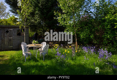 Spring Garden compresi narcisi con posti a sedere esterni in area faunistica del Giardino Inglese,l'Inghilterra,l'Europa Foto Stock