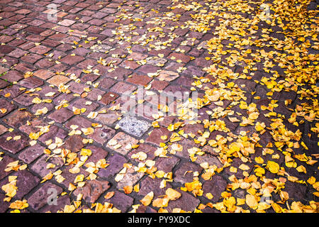 Giallo caduto foglie di autunno sul terreno di mattoni Foto Stock