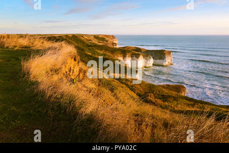 Flamborough, nello Yorkshire, Regno Unito. Mare e di erosione ambientale lungo chalk cliffs affiancato da erbe all'alba a Flamborough Head, Yorkshire, Regno Unito. Foto Stock