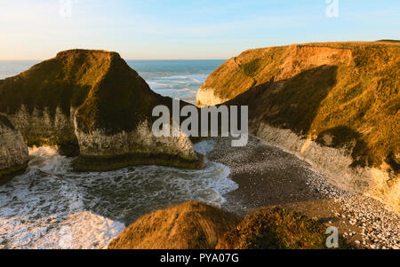 Mare e di erosione ambientale lungo chalk cliffs affiancato da erbe all'alba a Flamborough Head, Yorkshire, Regno Unito. Foto Stock