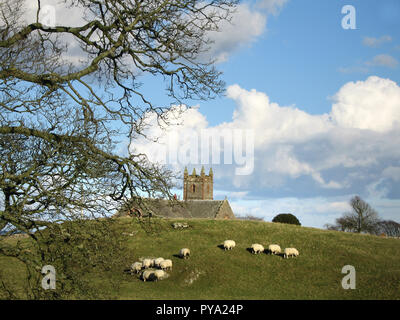 Chiesa Borgue, Borgue, vicino a Kirkcudbright, Dumfries and Galloway, SW in Scozia. Un gregge di bianco di pecore pascolano sulla collina di fronte alla chiesa Foto Stock